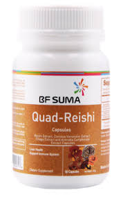 Quad Reishi Capsules 60 Capsules